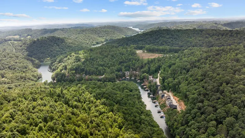 Aerial view of the forest and Norris Lake